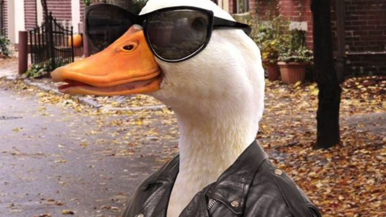 ducks's Avatar